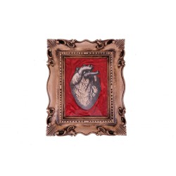 Quadro con cuore anatomico