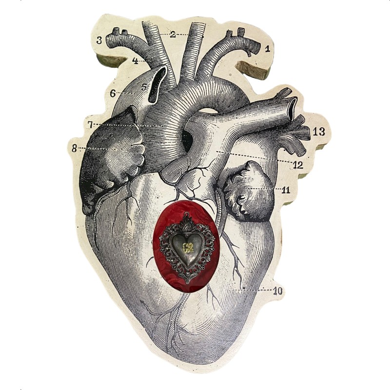 Tavolo cuore anatomico