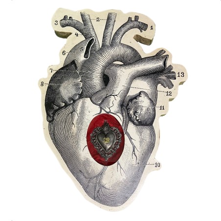 Tavolo cuore anatomico