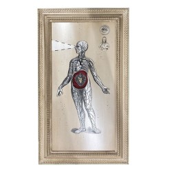 Quadro anatomia 55x97