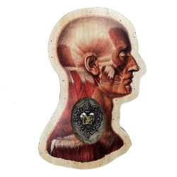 Testa anatomica destra con cuore sacro GR