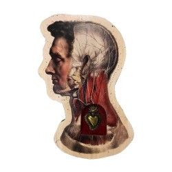 Testa anatomica sinistra con cuore sacro sfondo rosso