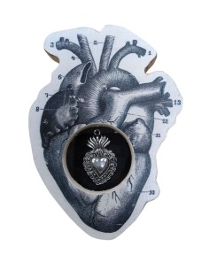 Formelle Cuore Anatomico Disegni Vari