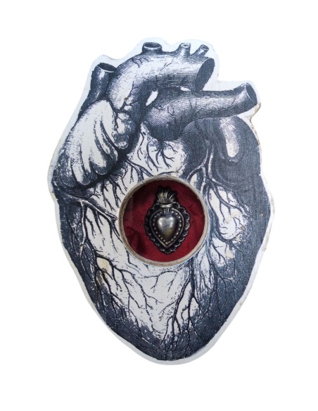 Formelle Cuore Anatomico Disegni Vari