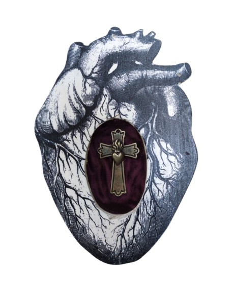 Formelle Cuore Anatomico Disegni Vari