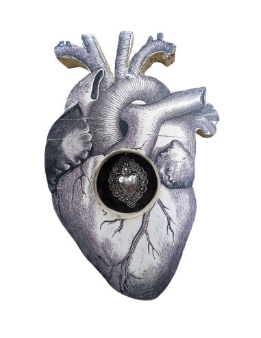 Formelle Cuore Anatomico Disegni Vari