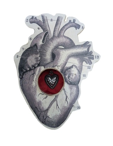 Formelle Cuore Anatomico Disegni Vari