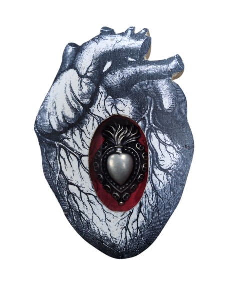Formelle Cuore Anatomico Disegni Vari