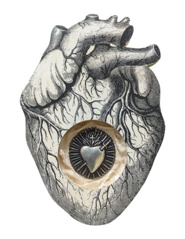 Formelle Cuore Anatomico Disegni Vari
