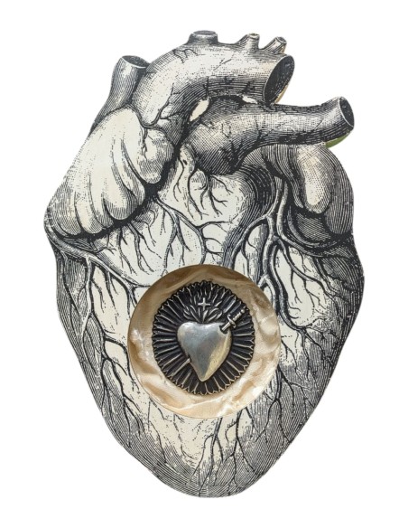 Formelle Cuore Anatomico Disegni Vari