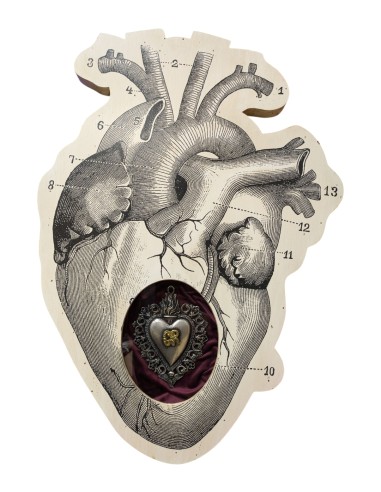 Formelle Cuore Anatomico Disegni Vari