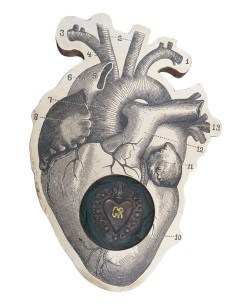 Cuore Anatomico