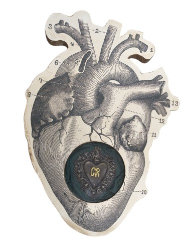 Cuore Anatomico